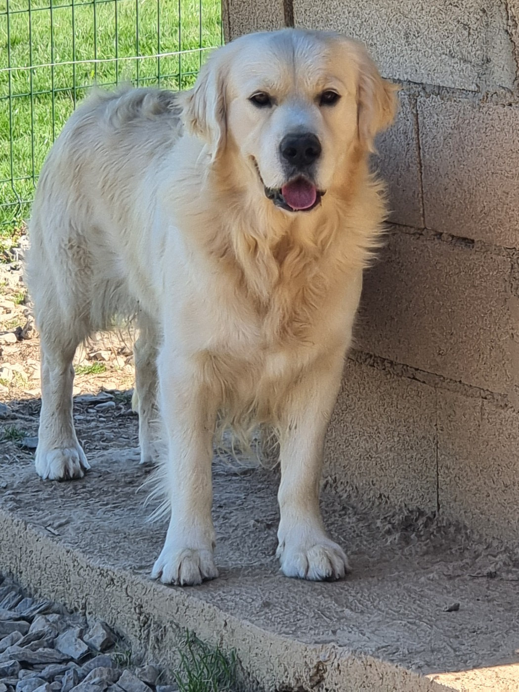 Tokyo Du Clos De Compostelle