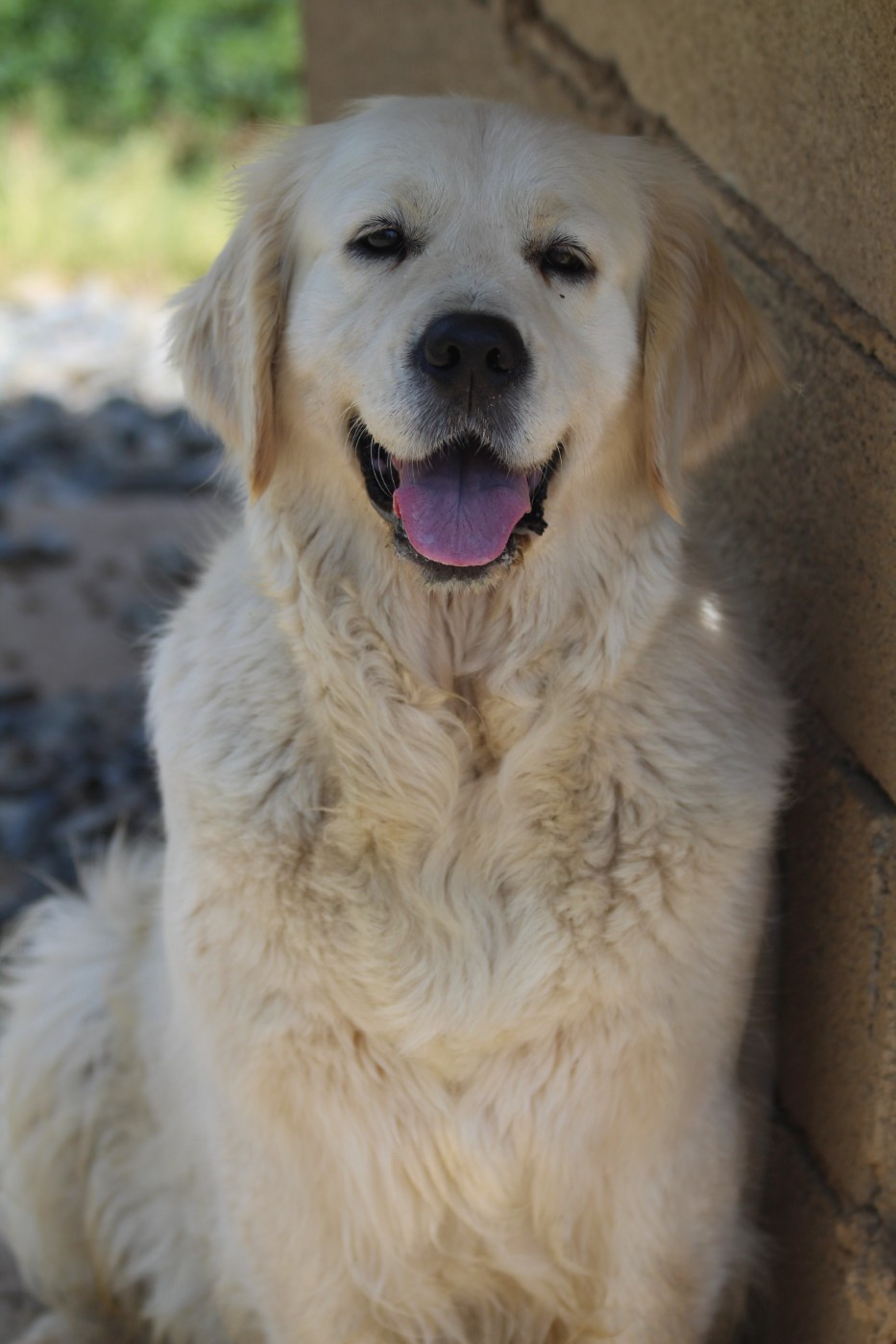 Sawyer (Sans Affixe)